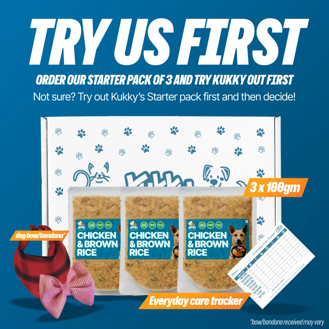 Kukky Chicken & Brown Rice Starter Pack for Dogs | 3 x 100g Wet Dog Food Packs