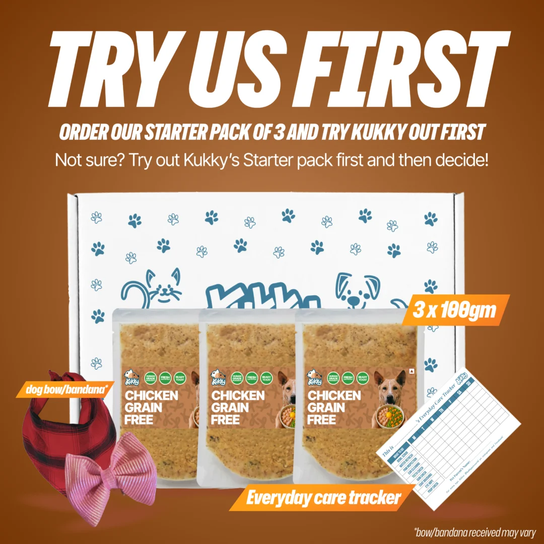 Kukky Chicken Grain Free Starter Pack for Dogs | 3 x 100g Protein-Rich Wet Dog Food Packs