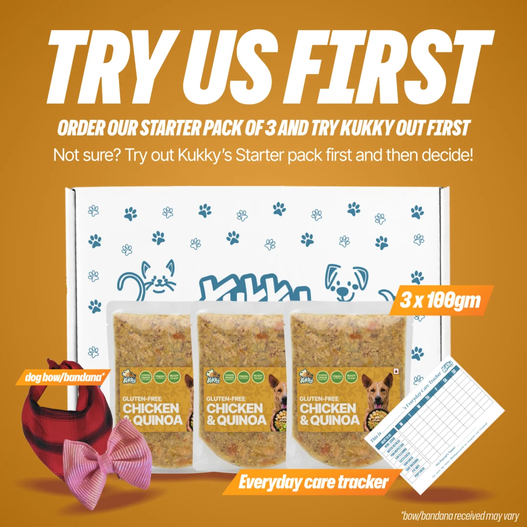 Kukky Gluten-Free Chicken Quinoa Starter Pack for Dogs | 3 x 100g Premium Wet Dog Food Packs