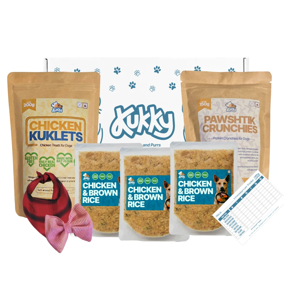 Chicken Brown Rice Meal and Treat Starter Combo
